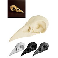 Cranio di corvo stampato in 3D da dipingere (10cm)