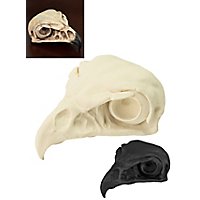 Cranio di falco stampato in 3D da dipingere (11cm)