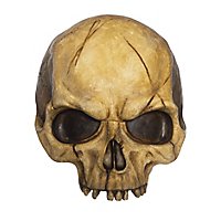 Demi-crâne décoratif en résine (abîmé)