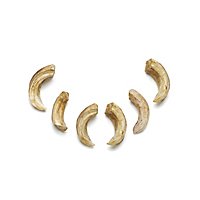Set of Resin Bones - Boar tusks (6 Pieces)