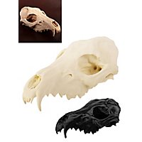 Teschio di volpe stampato in 3D da dipingere (16cm)