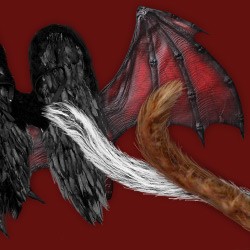 Costume Wings & Tails