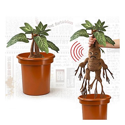 Harry Potter - Interactive plush figure Mandrake Collector's Edition with sound 30 cm
