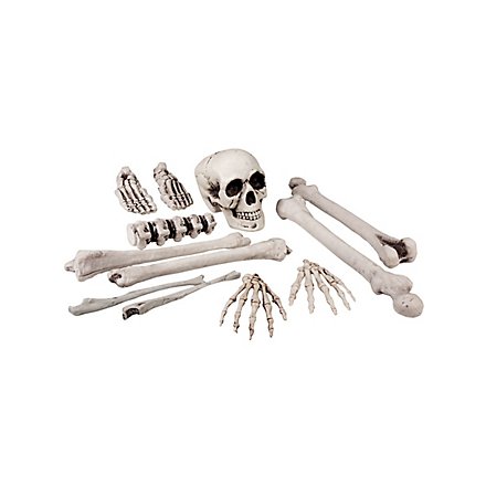Schädel und Knochen Deko