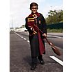 Harry Potter – Gryffindor Schal