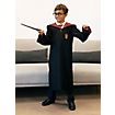 Harry Potter – Harrys  Zauberstab