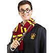 Harry Potter – Harrys  Zauberstab
