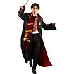 Harry Potter – Harrys  Zauberstab