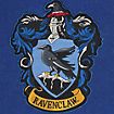 Harry Potter - Wandbanner Ravenclaw 30 x 44 cm
