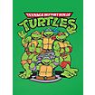 Turtles Kinder T-Shirt