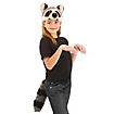 Waschbär Accessoire-Set