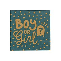 Boy or Girl napkins 12 pieces
