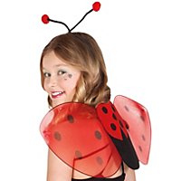 Ladybird accessory set