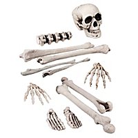 Skull and Bone Decoration