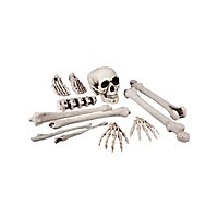 Skull and Bone Decoration
