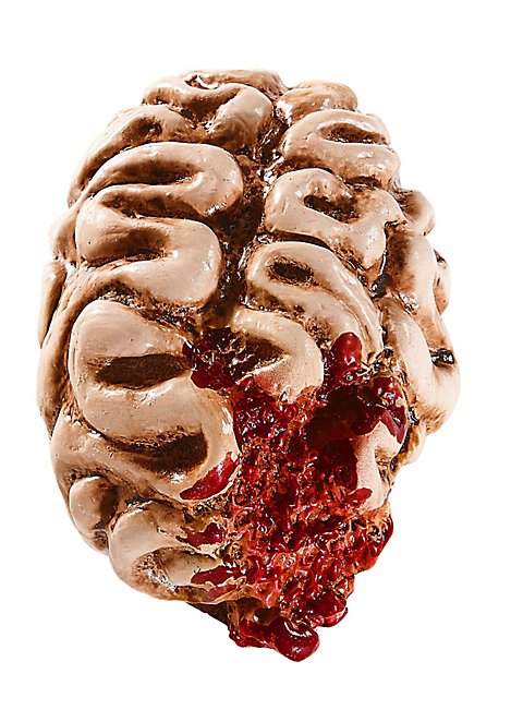 Halloween Mensch Gehirn Dekoration Realistisch Lebensgröße Stück Geschäft Blut 