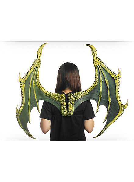 Ailes de dragon