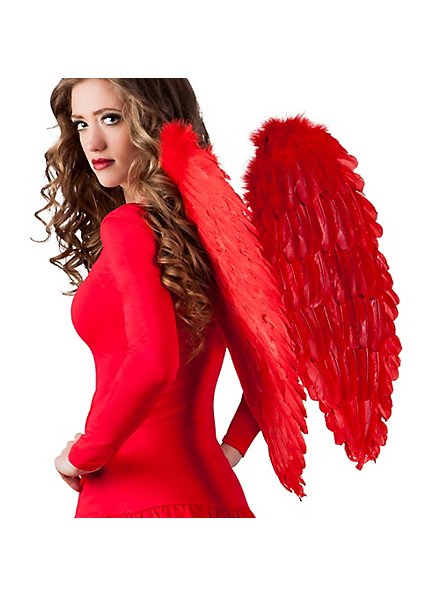 Ailes de plumes rouges 65 x 65 cm
