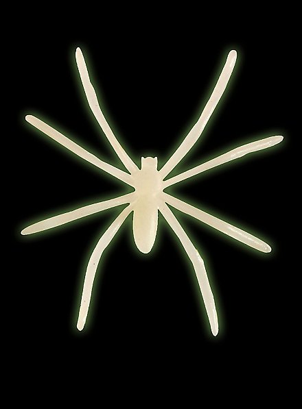 Araignées phosphorescentes