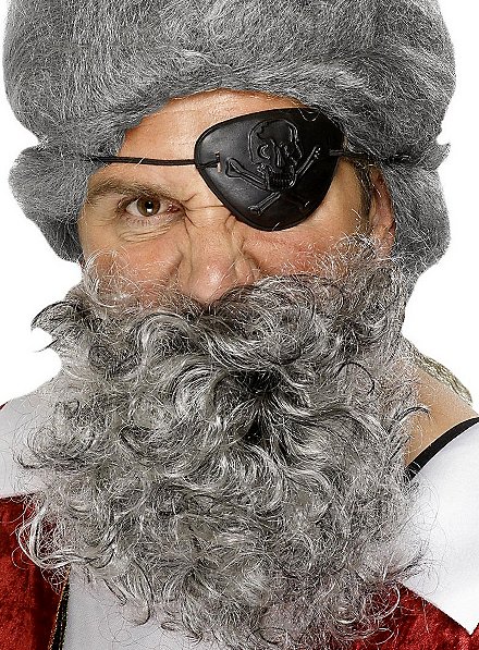 Barbe pleine ébouriffée grise