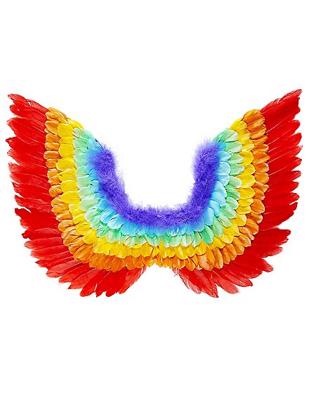 Bird wings rainbow