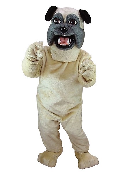 Bobby El Boxeador Mascota
