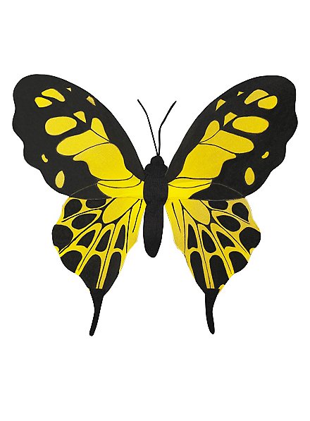 butterfly wings small black-yellow