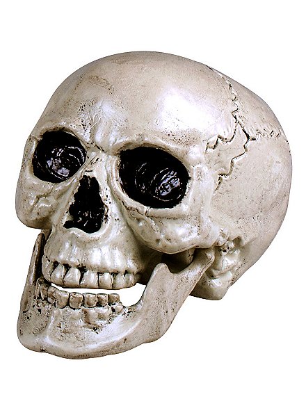 Crâne décoratif avec mâchoire mobile