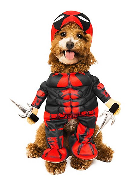 Deadpool dog costume