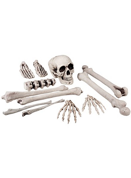 Décoration de crâne et d'os