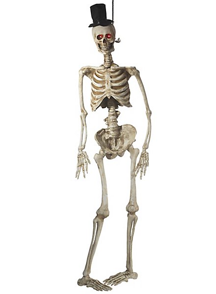 LuyoNova Helloween Scheletro,2 Pezzi 40Cm Scheletri Di Halloween Con Articolazioni Mobili Teschio Decorativo per Feste Halloween Bar Finestre Esterni Giardini Case Infestate Cimiteri