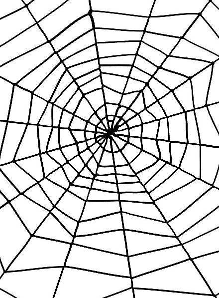 Decorazione di Halloween in nylon con ragnatela 150 cm