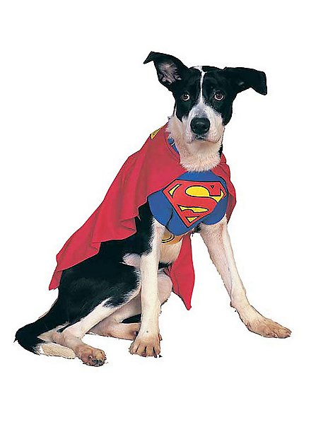 Déguisement de chien Superman