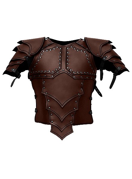 Dragonrider Leather Armour brown 