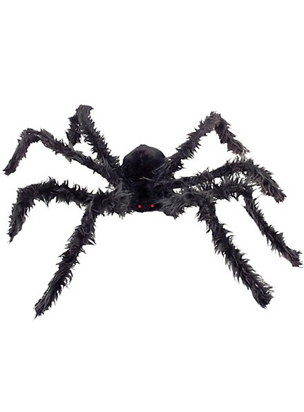 Fluffy giant spider with light eyes
