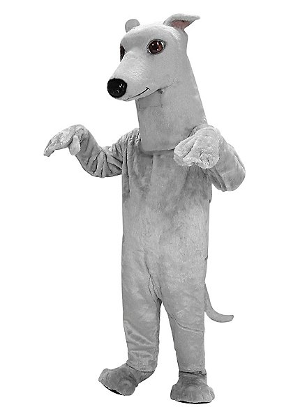 Greyhound Mascot