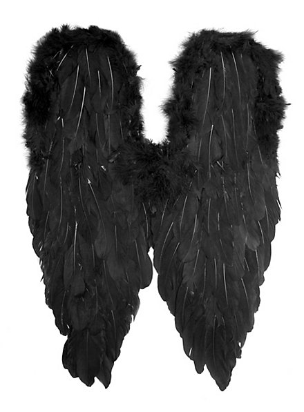 Große schwarze Flügel Federn