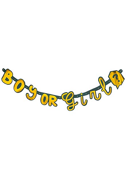 Guirnalda De Letras Boy Or Girl