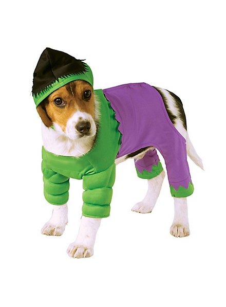 Hulk dog costume
