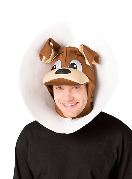 Hund mit Halskragen Kopfbedeckung