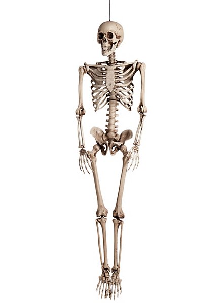Life-Size Skeleton Hanging Decoration 