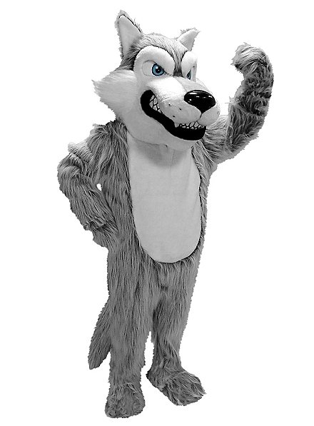 Loup gris Mascotte