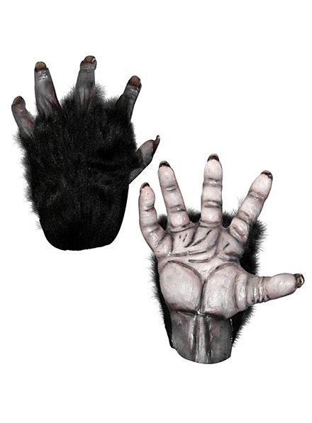 Mains de chimpanzé noires