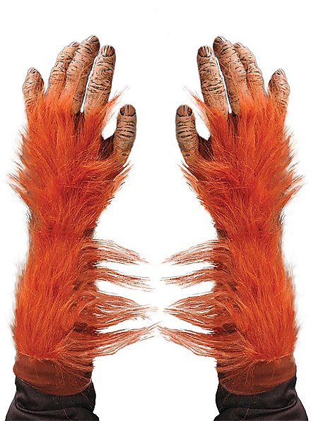 Mains d'orang-outan