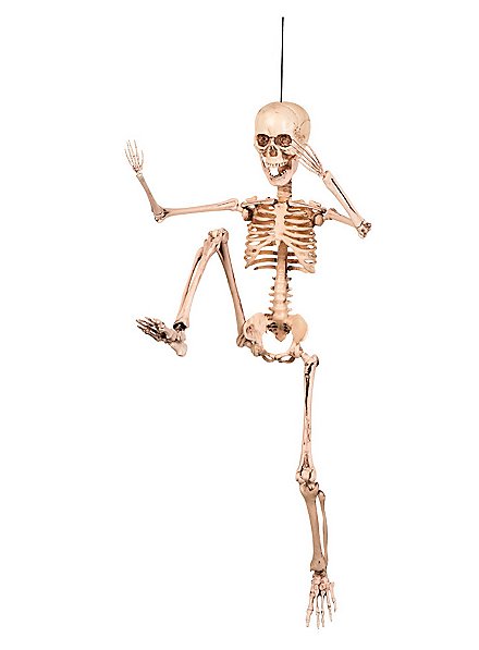 movable skeleton model online
