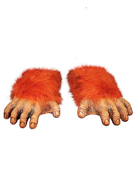 Orangutan Feet 
