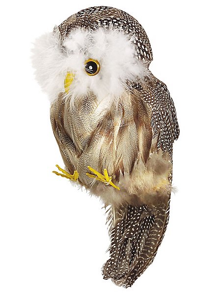 Owl from real feathers