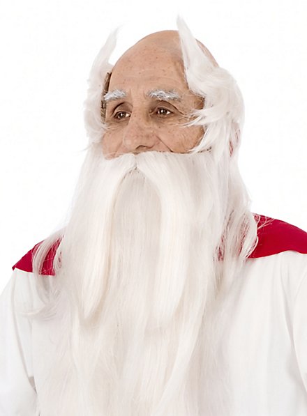 Perruque et barbe de Panoramix