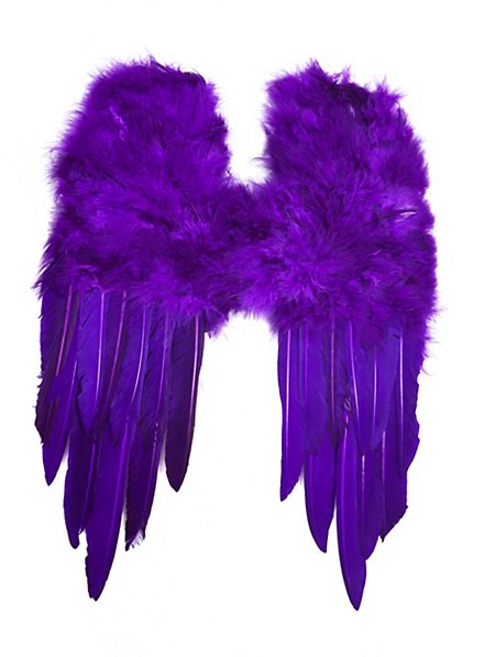 Petites ailes en plumes violettes