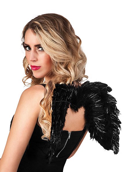 Petites ailes noir et argenté
